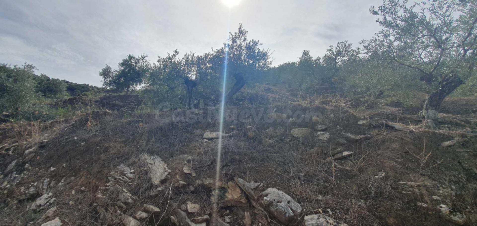 Finca rústica enclavada en el Parque Nacional de la Sierra de las Nieves