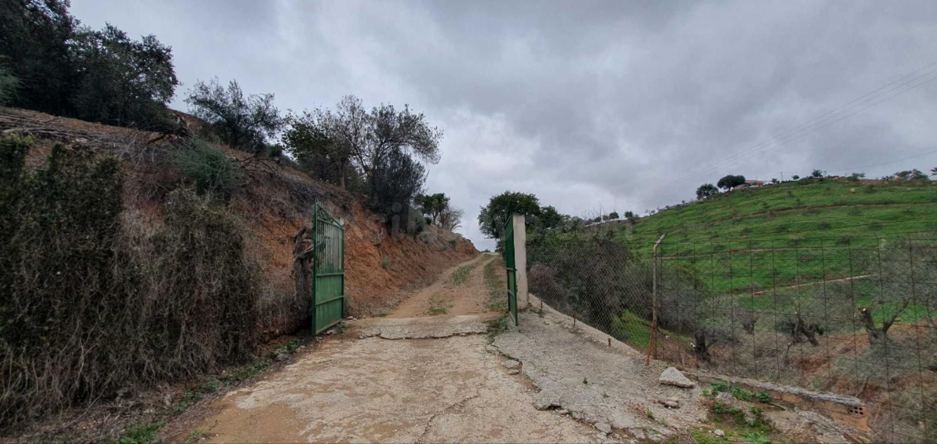 FINCA EN CÁRTAMA