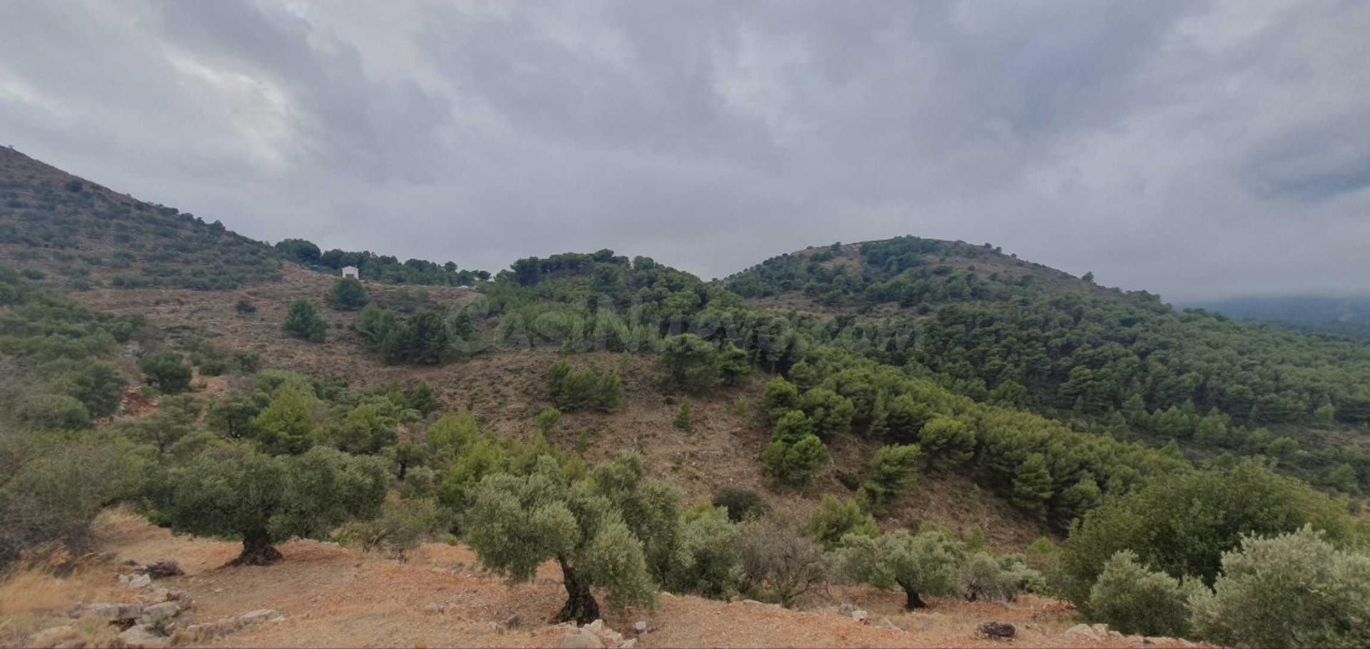 FINCA RÚSTICA
