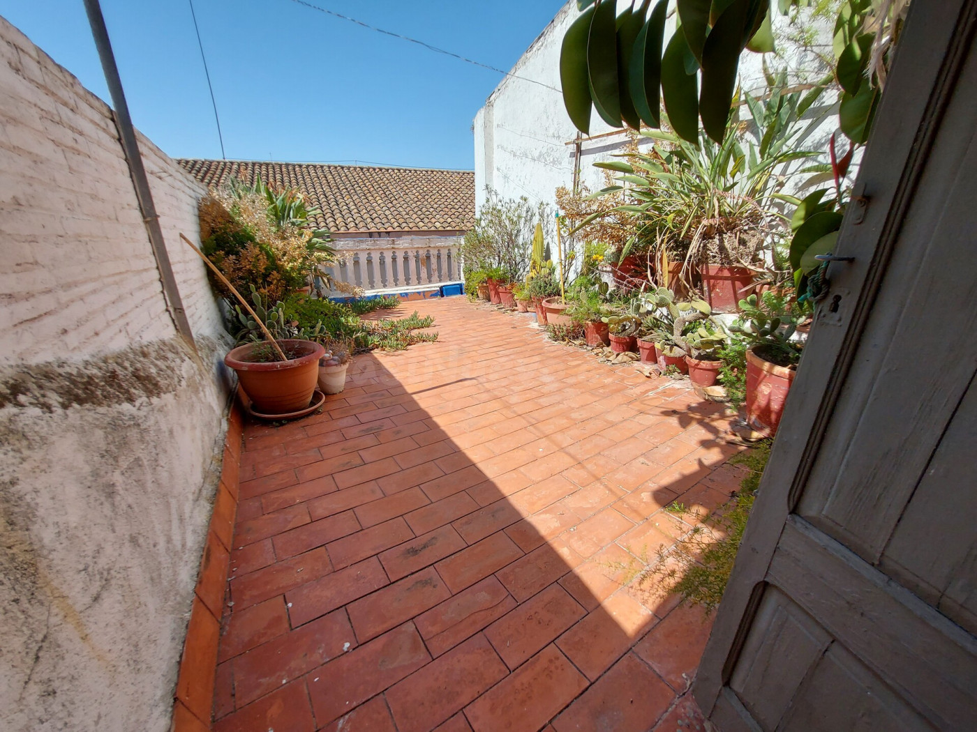 CASA Y LOCAL EN VENTA -CENTRO VILAFRANCA