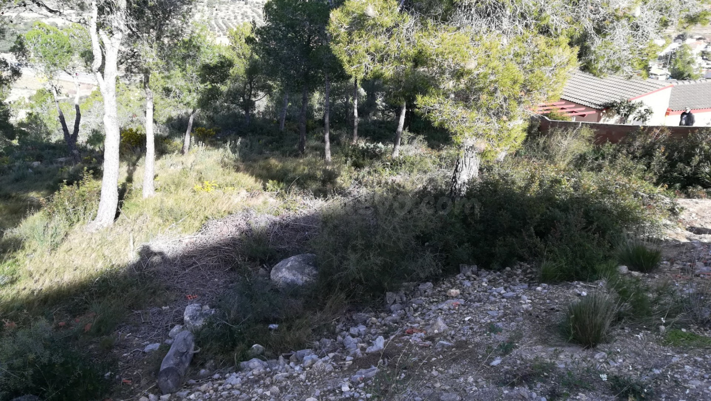 Parcela en venta en La Bisbal del Penedès