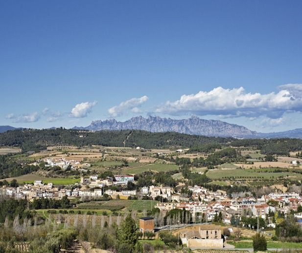 PARCELA EN VENTA EN TORRELAVIT CON MUCHAS POSIBILIDADES