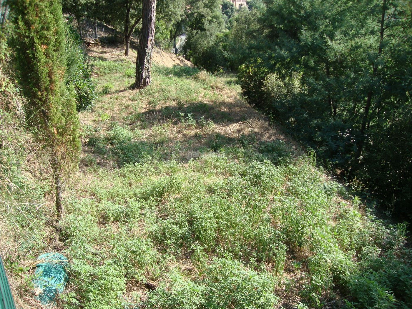 TERRENO EN URBANIZACIÓN
