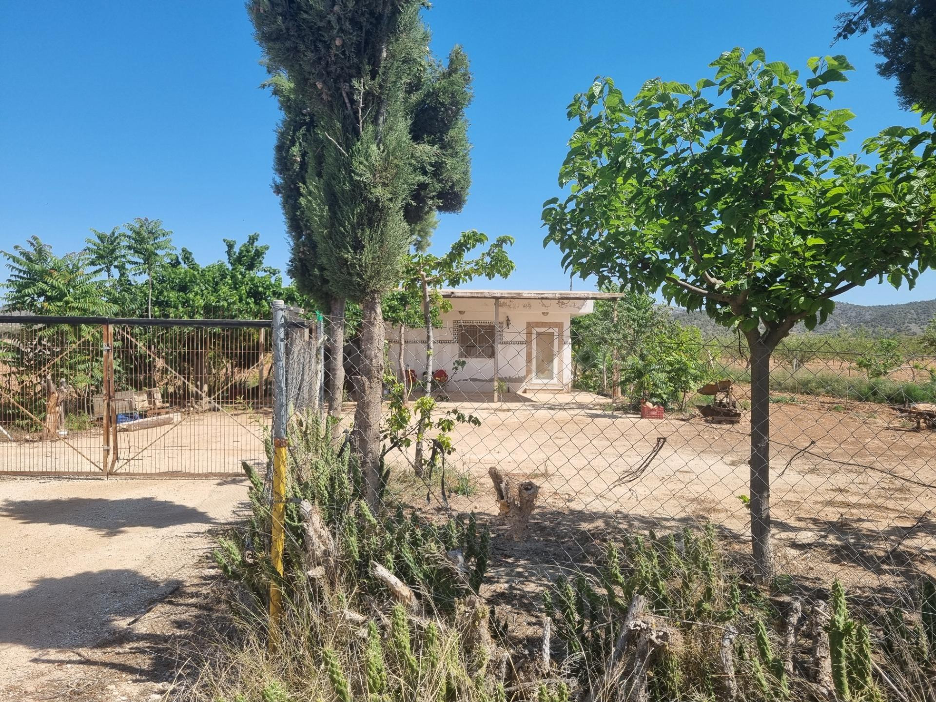 SE VENDE CASA CON TERREN EN CAÑADA DE LA LEÑA (ALGUEÑA) ALIC - foto 2