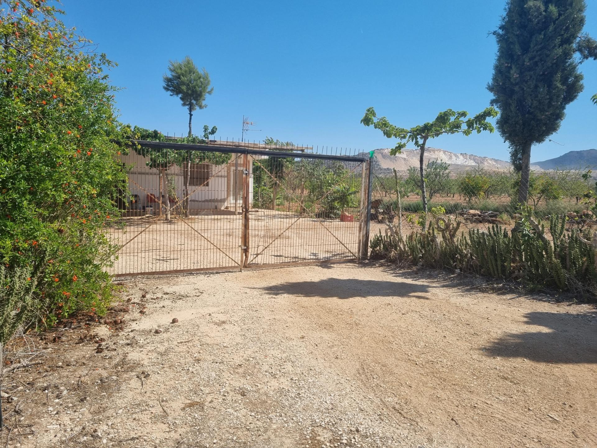SE VENDE CASA CON TERREN EN CAÑADA DE LA LEÑA (ALGUEÑA) ALIC - foto 3