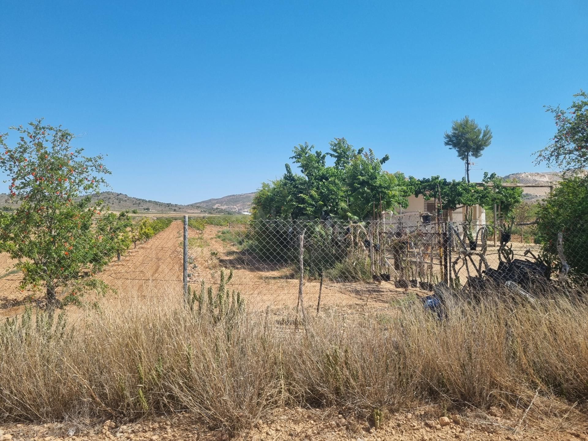 SE VENDE CASA CON TERREN EN CAÑADA DE LA LEÑA (ALGUEÑA) ALIC - foto 4