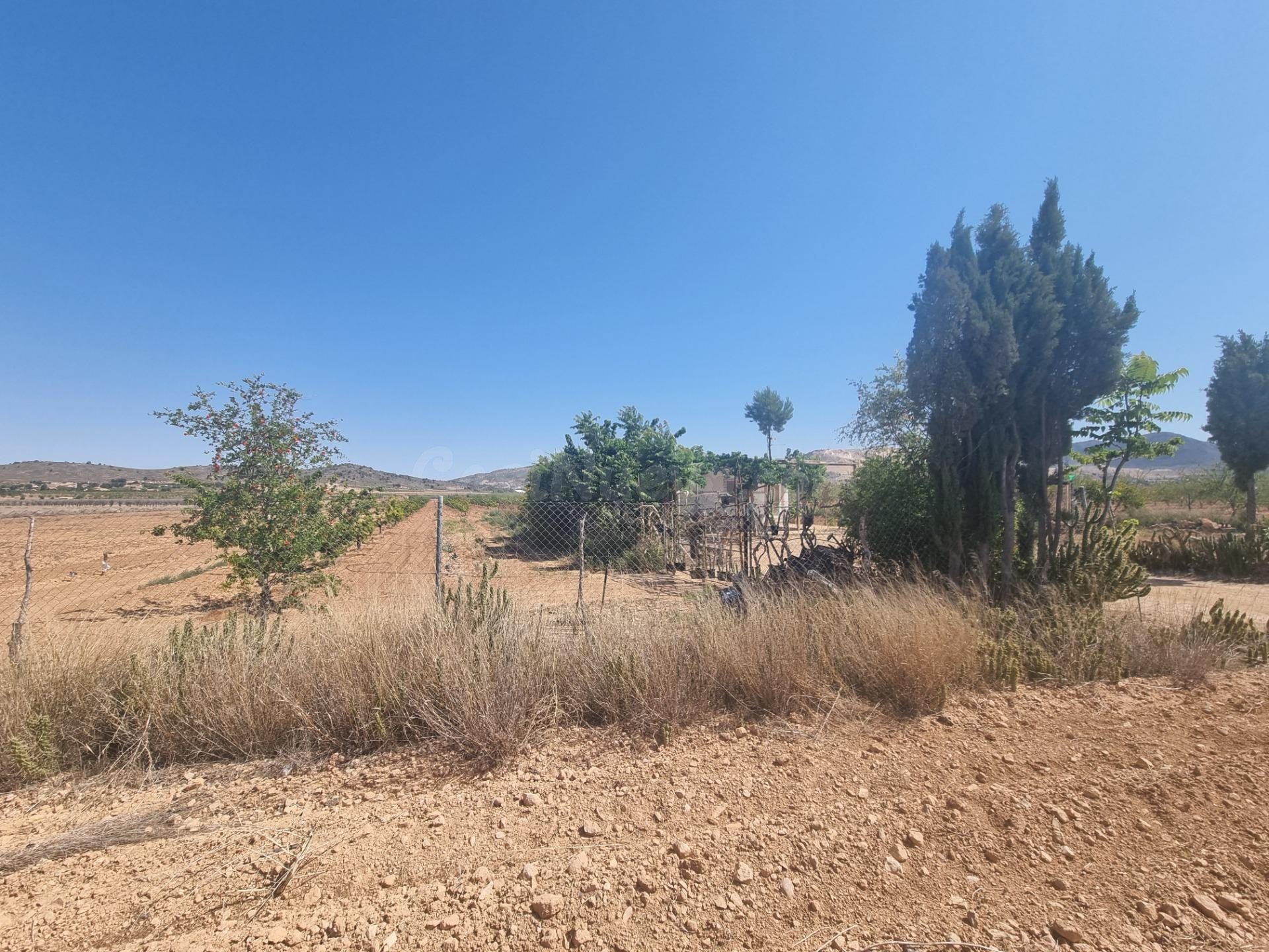SE VENDE CASA CON TERREN EN CAÑADA DE LA LEÑA (ALGUEÑA) ALIC - foto 5