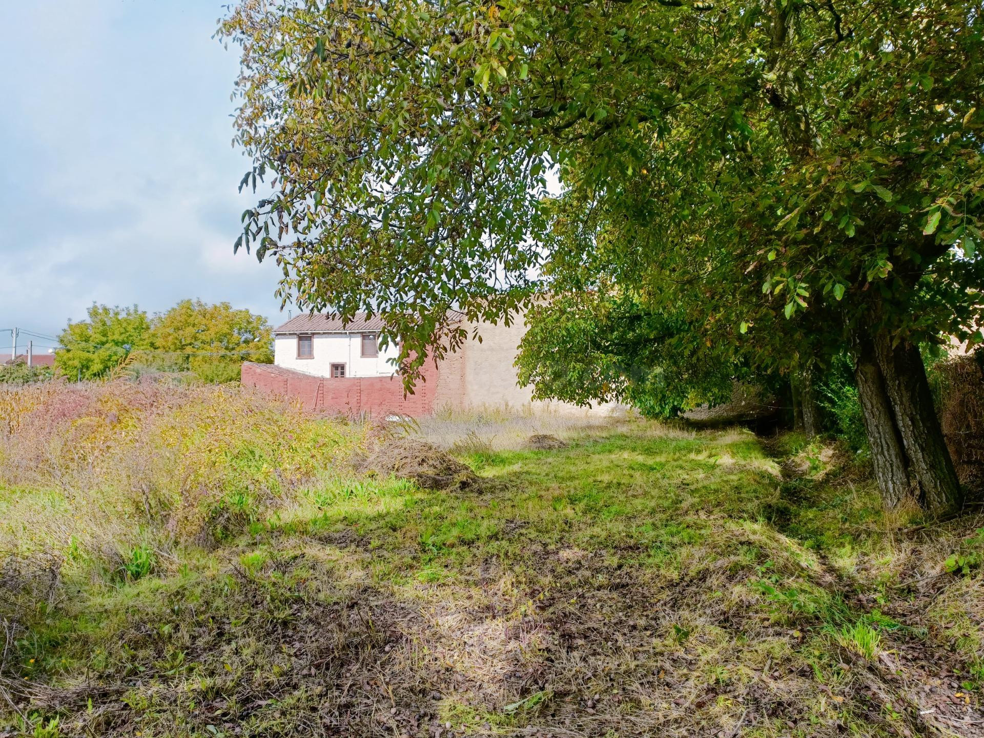 TERRENOS EN VILLARROAÑE