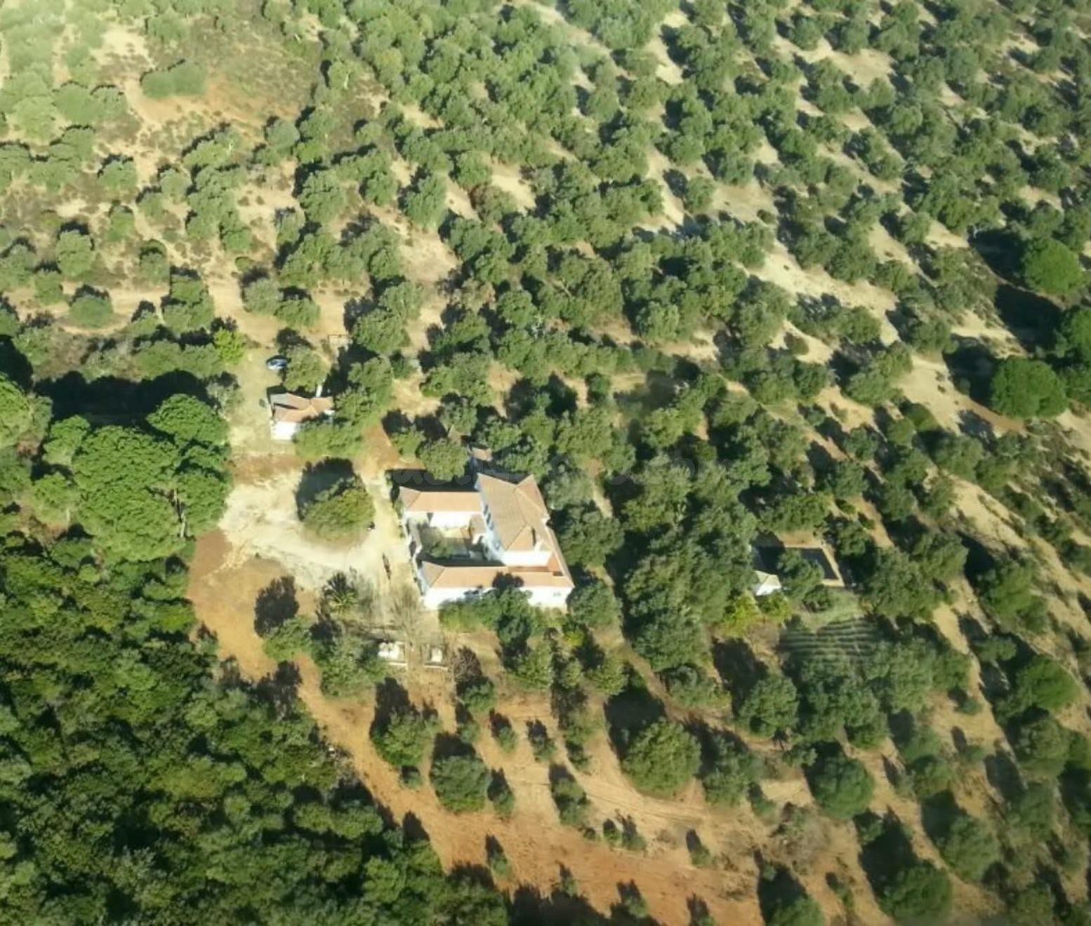 Espectacular Cortijo con vivienda de 480m2 y terreno de 1337 - foto 3