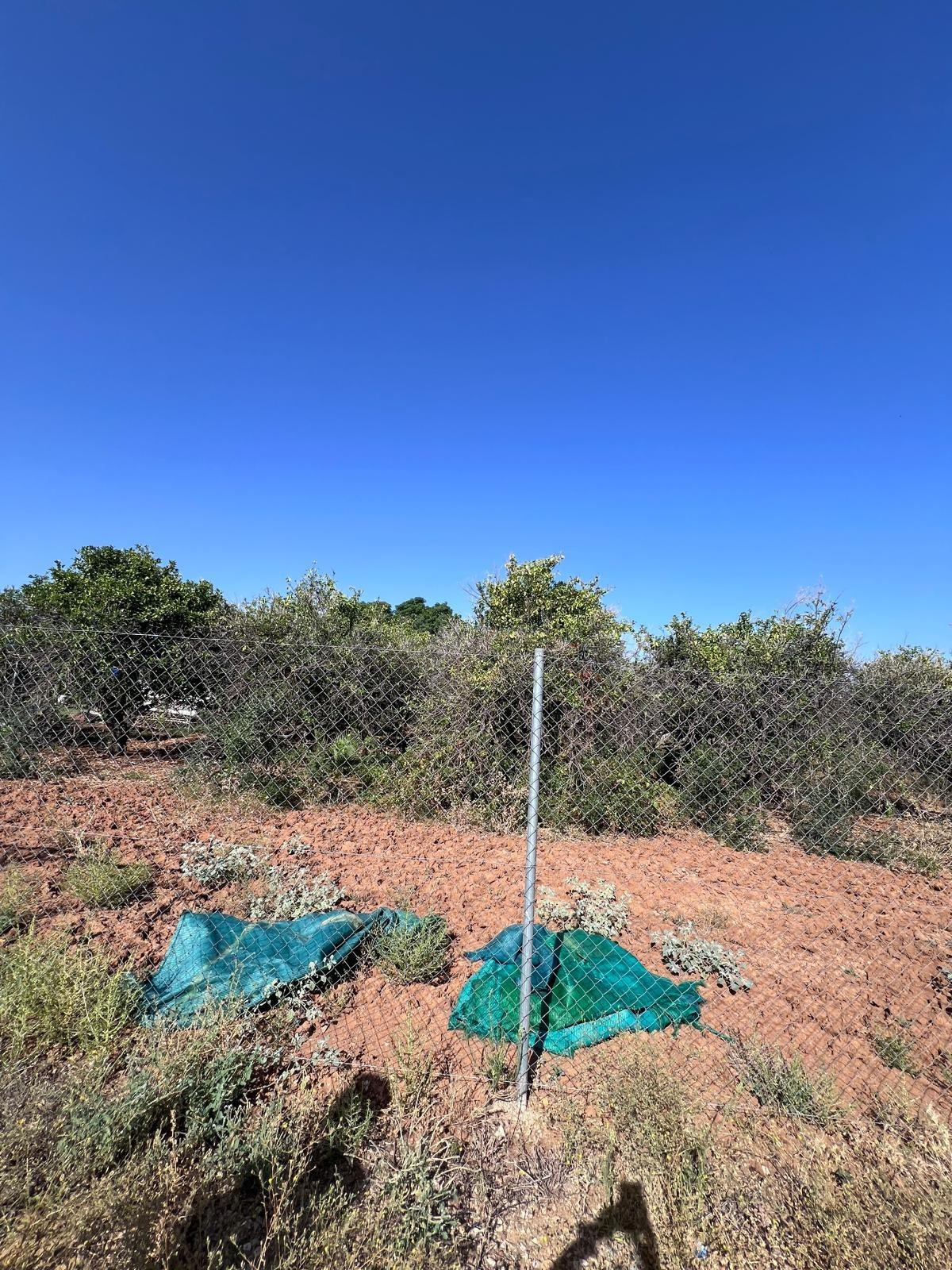VENTA DE TERRENO EN LOS RUBILAES, GUILLENA.