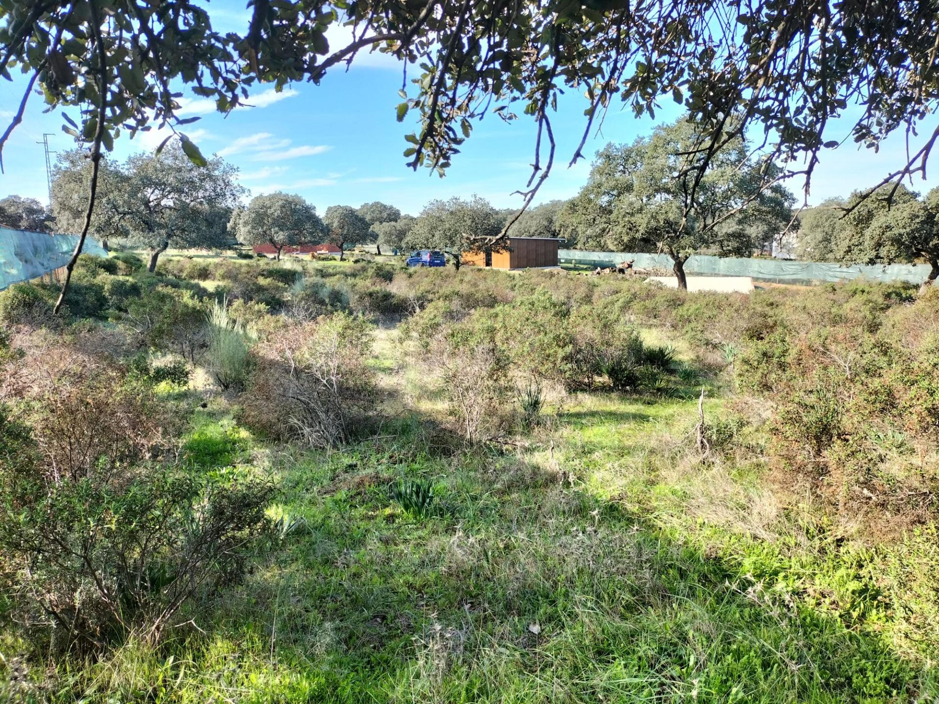 PARCELA EN URBANIZACIÓN SIERRA NORTE, CASTIBLANCO DE LOS ARROYOS, SEVILLA.