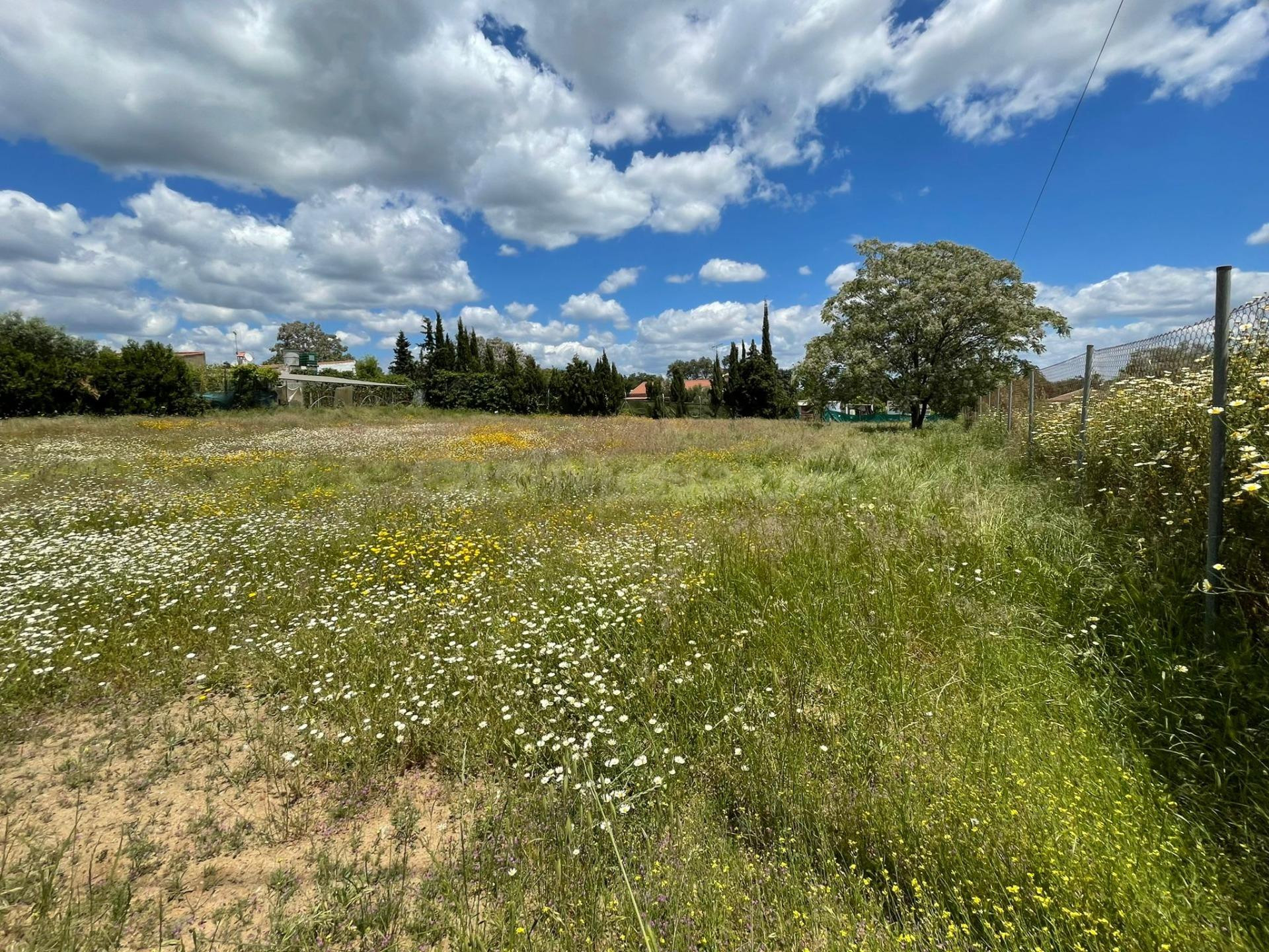¡Gran oportunidad! Venta de Parcela Rústica en Castiblanco de los arroyos, Sevilla.