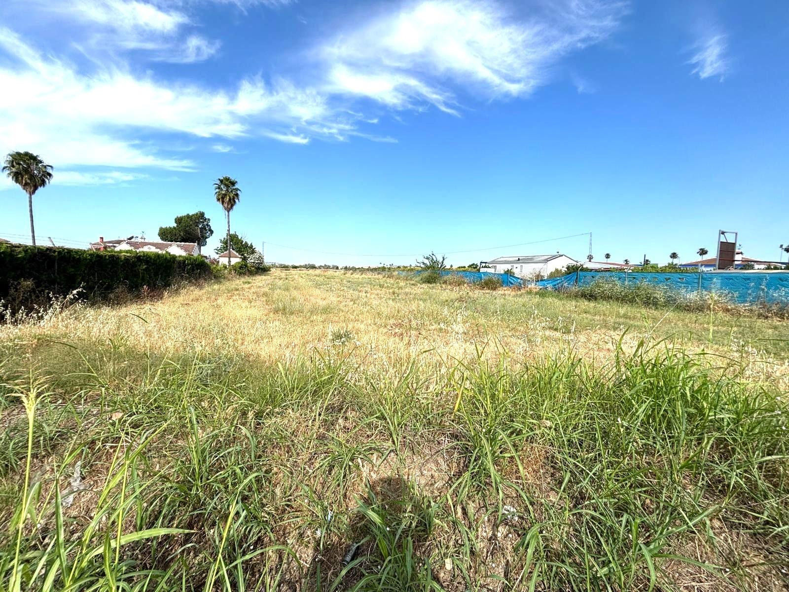 ¡Oportunidad Única en Guillena!  Terreno de 10.000 m2 para Invertir o Soñar
