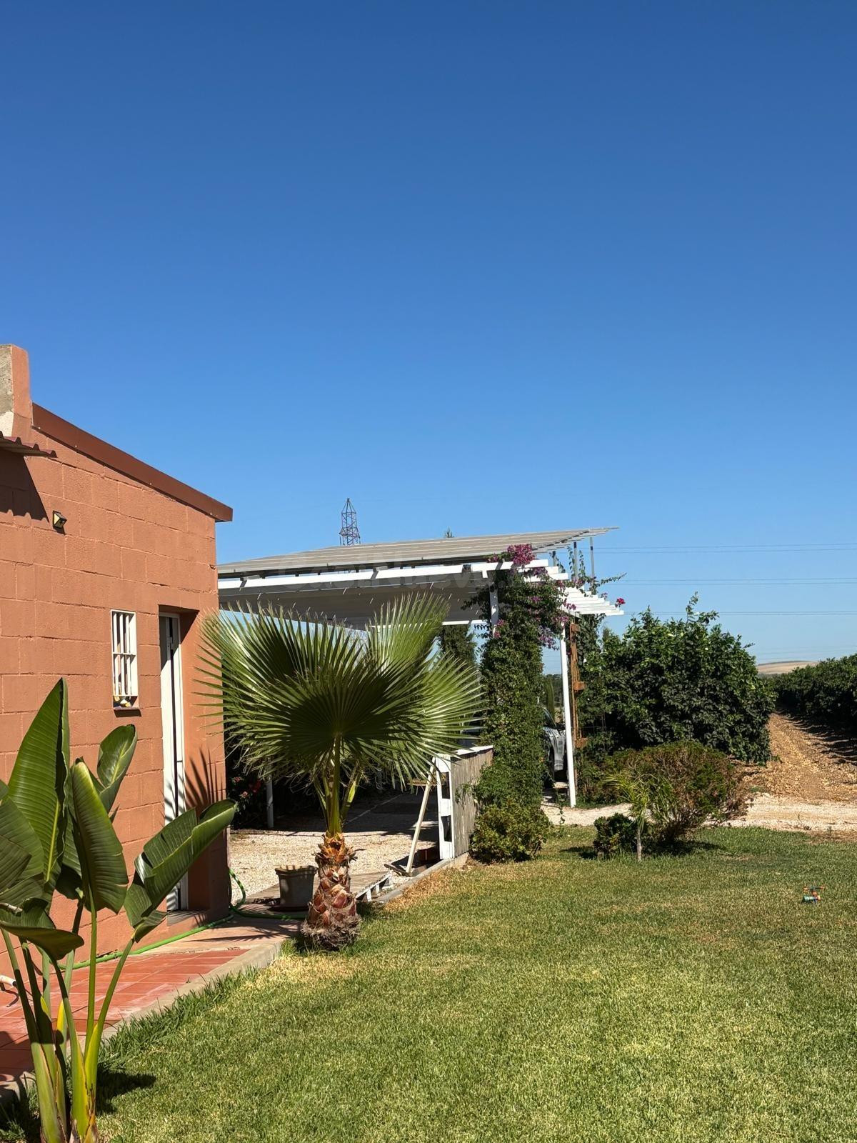 ✨ ¡FINCA RÚSTICA EN CANTILLANA!