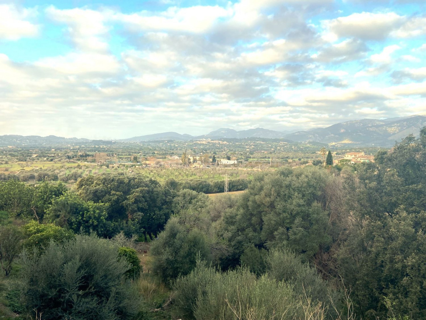 Solar urbano con vistas a la Serra de Tramuntana