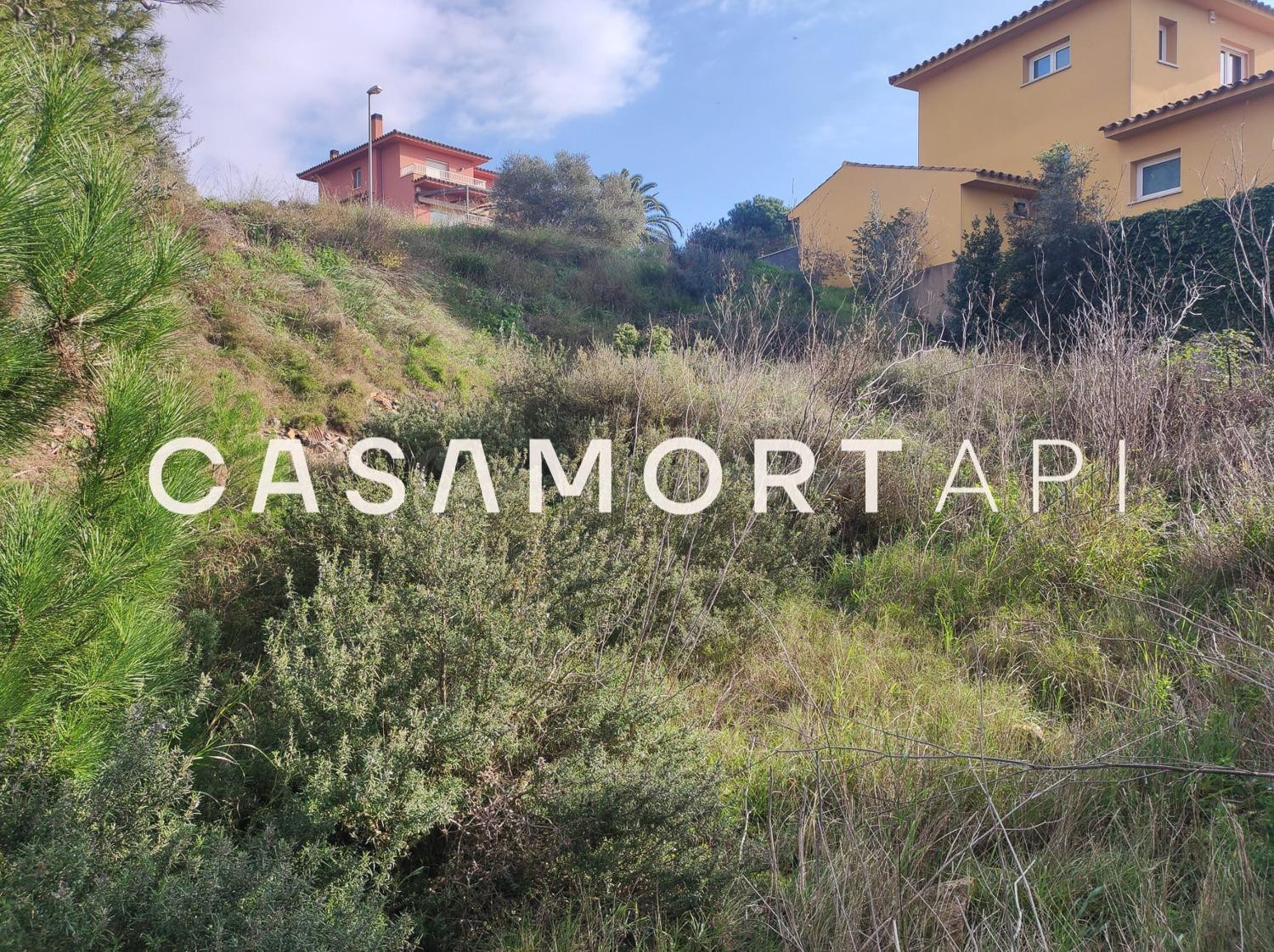 Parcela Edificable al Camp dels Pilans