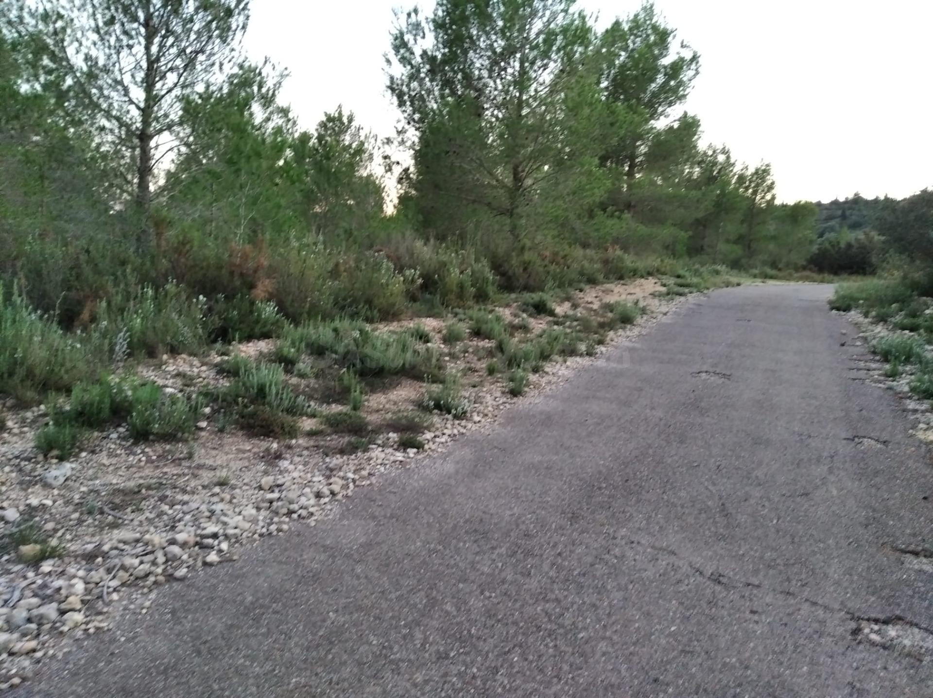 FINCA RUSTICA EN TORRE ENDOMENECH - foto 2
