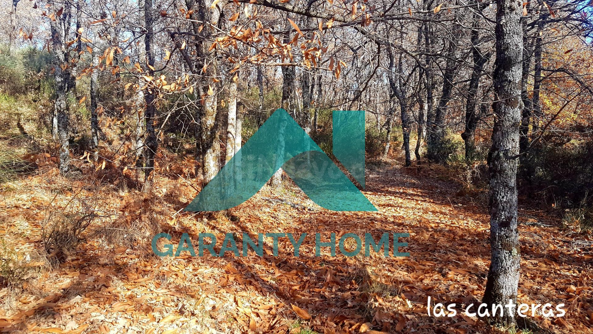 SE VENDE FINCA EN ALDEA NUEVA DE LA VERA - foto 3