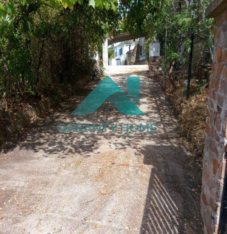 SE VENDE FINCA EN ZONA LA MONTAÑA - foto 3