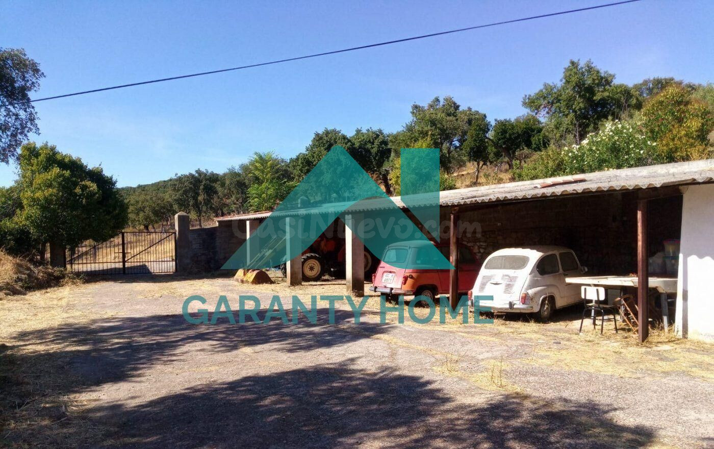 SE VENDE FINCA EN ZONA LA MONTAÑA - foto 4