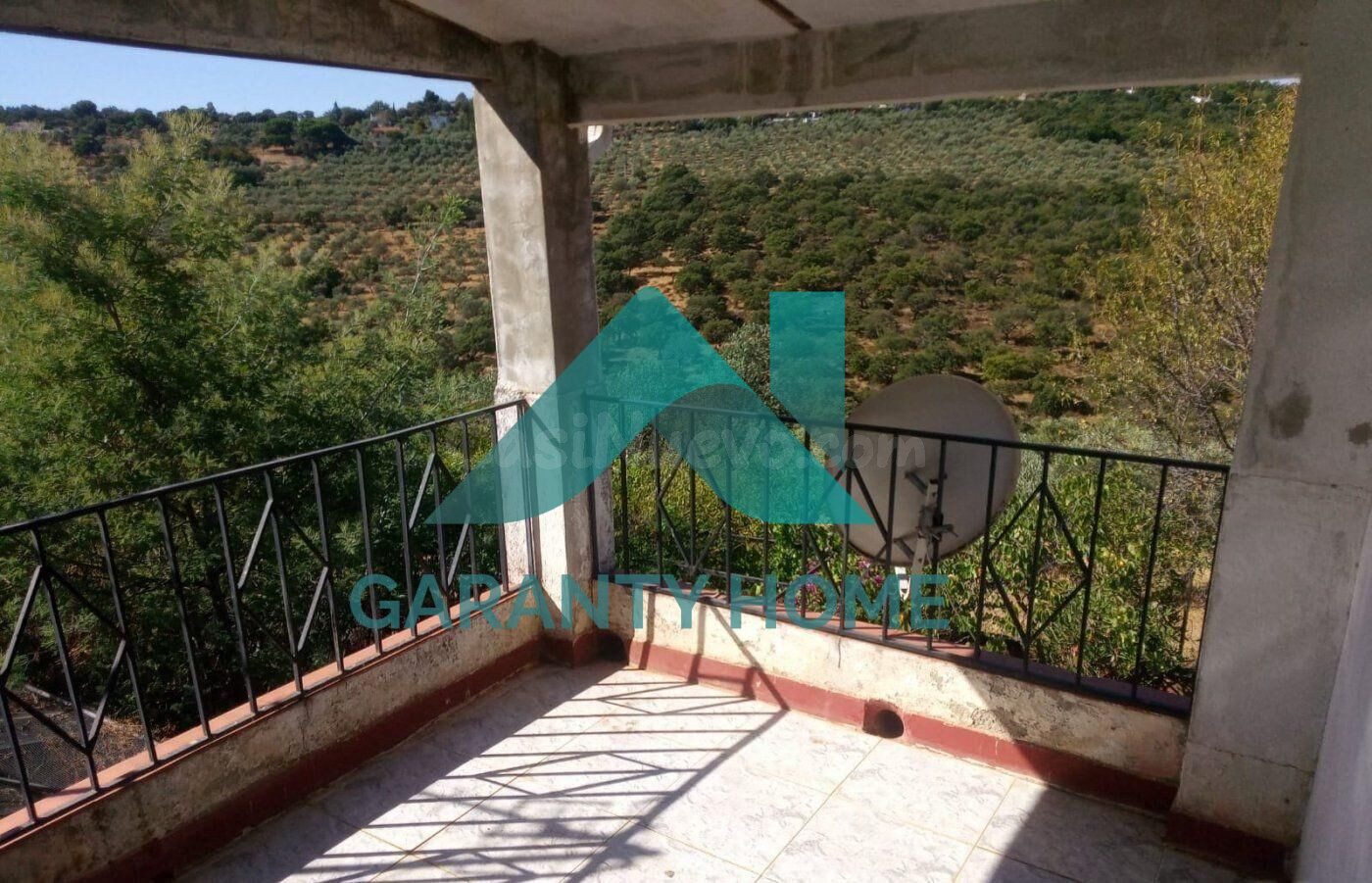 SE VENDE FINCA EN ZONA LA MONTAÑA - foto 5