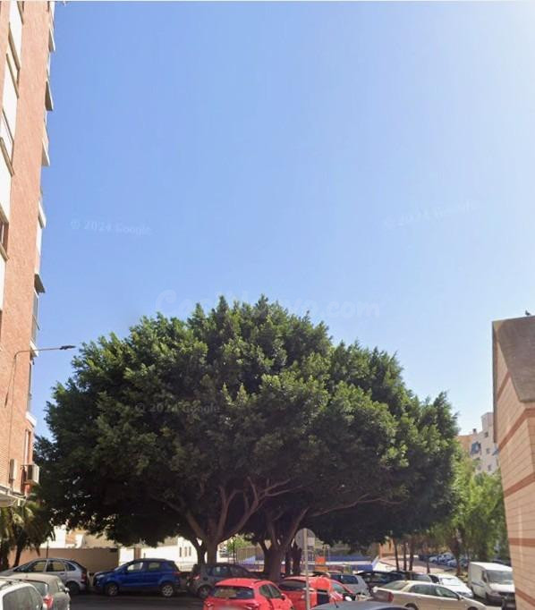 PISO EN MALAGA