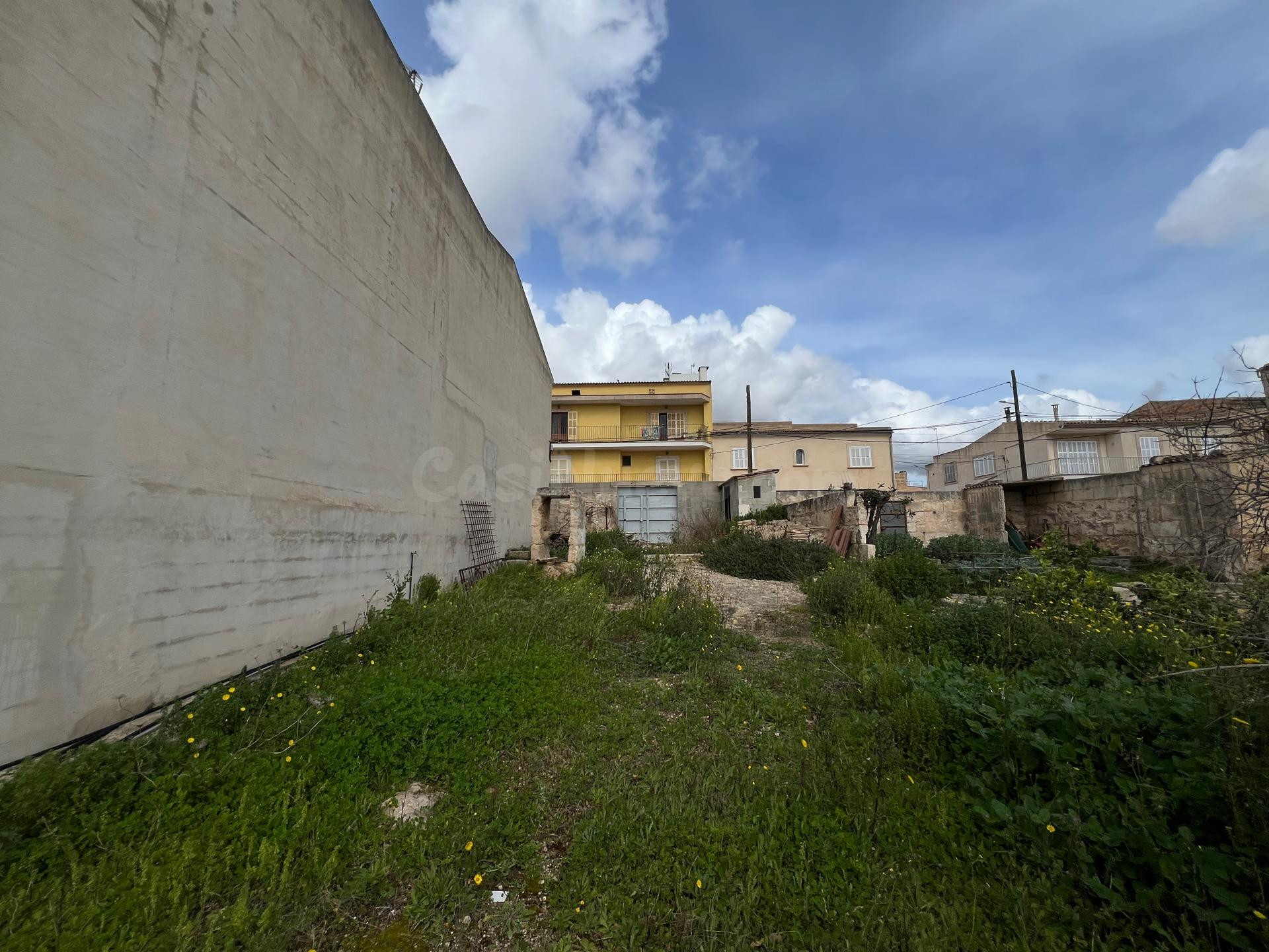Amplia Parcela con Potencial de Construcción en Muro