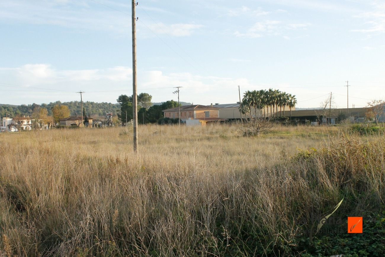 PARCELA URBANA EN VENTA EN ULLDECONA (TARRAGONA)