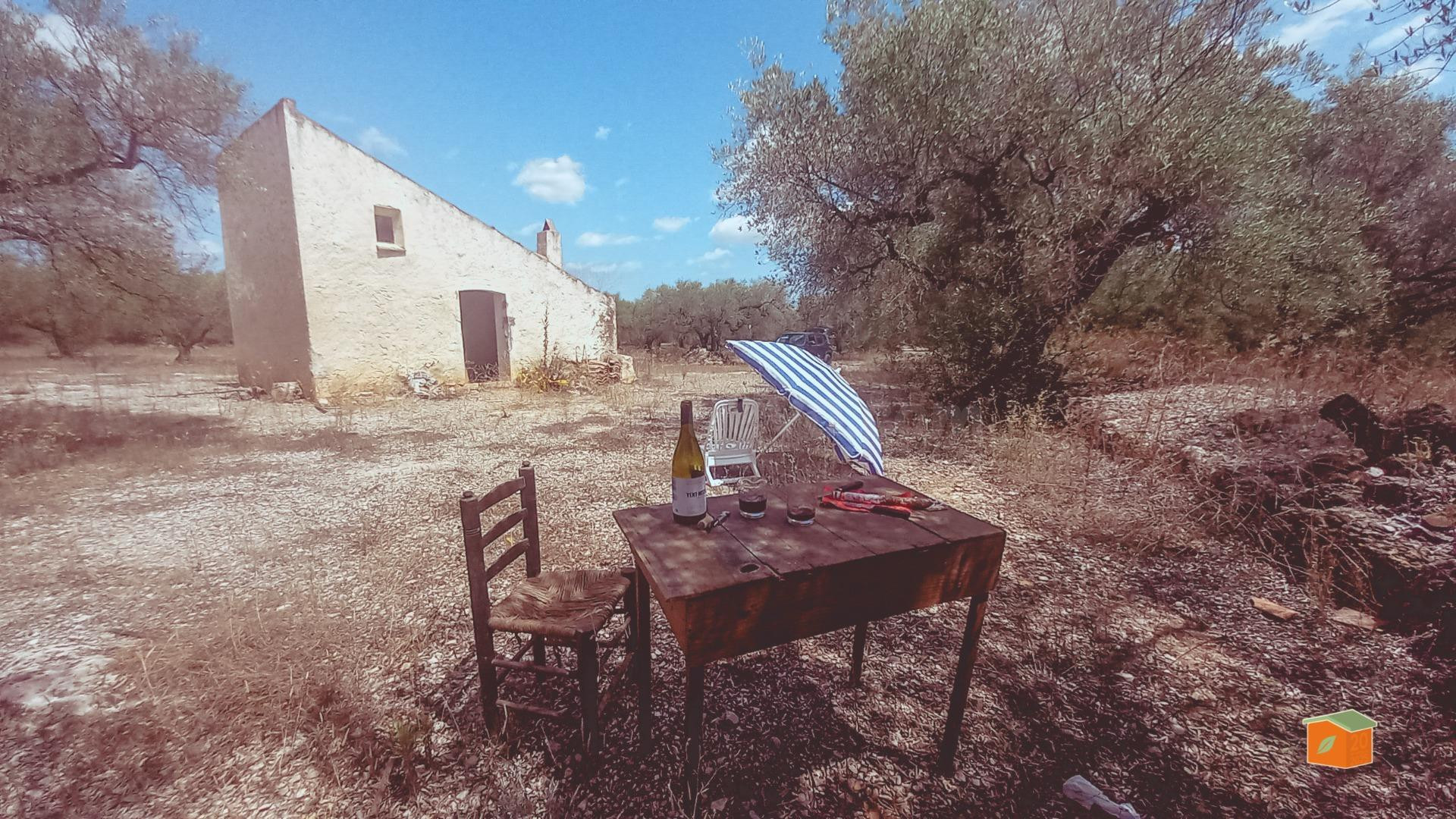 FINCA RUSTICA CON CASETA EN VENTA EN ULLDECONA (TARRAGONA)