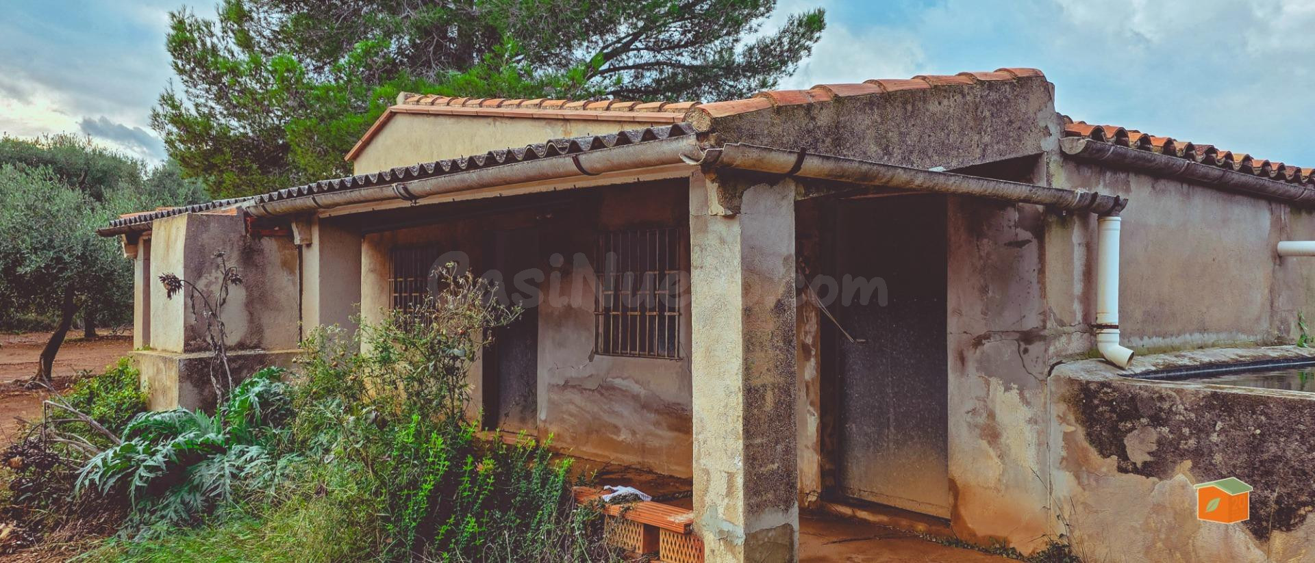 FINCA CON CASA EN VENTA EN GODALL (TARRAGONA)