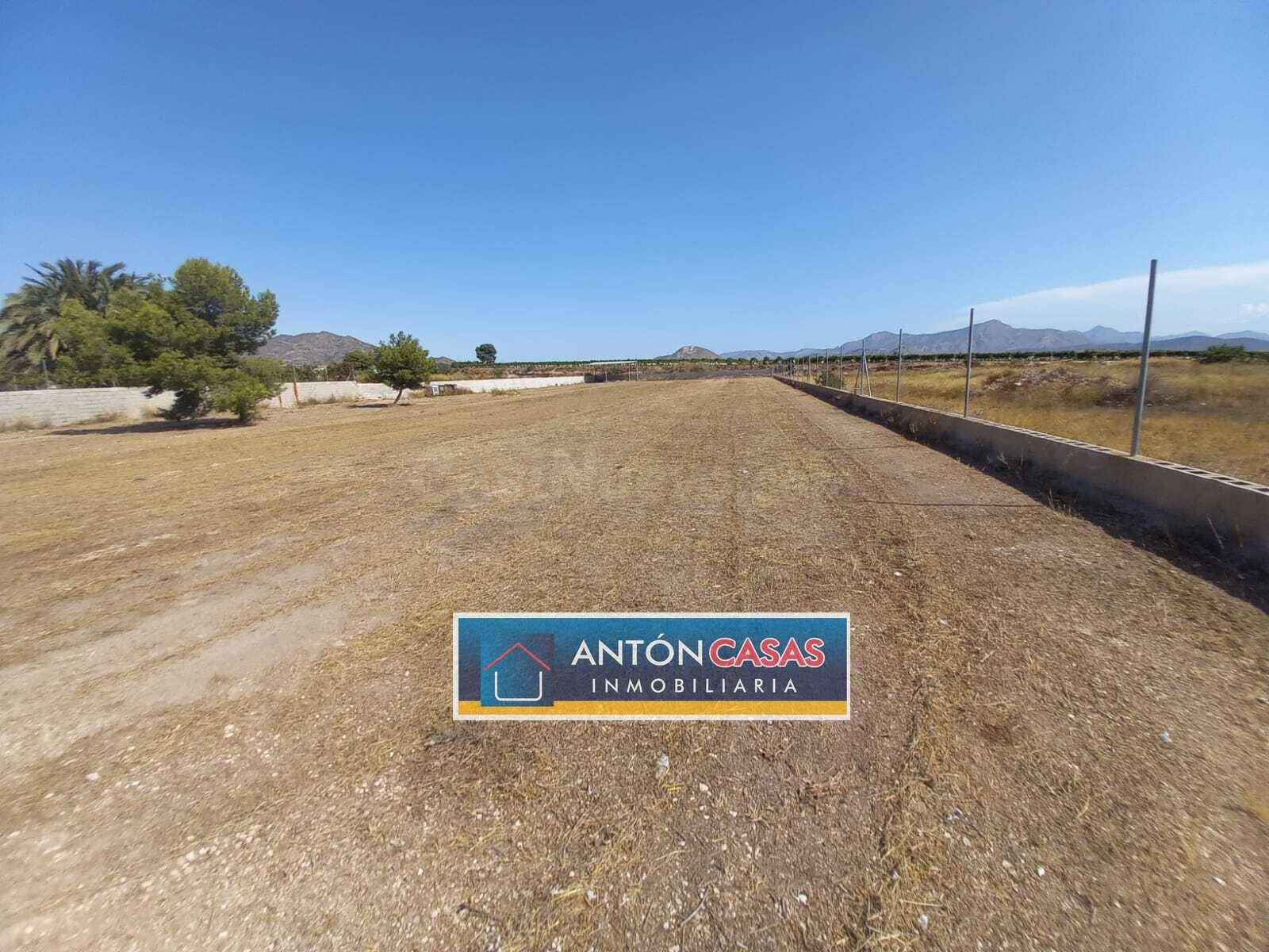 TERRENO NOVELDA / 4865M2