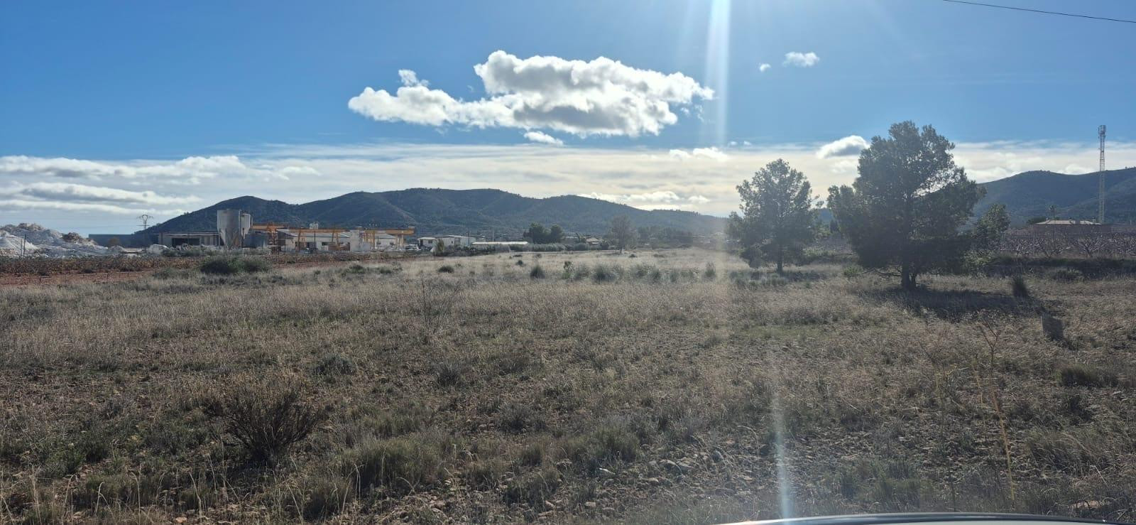 TERRENO EN LA ROMANA DE 14.718M2 -  IDEAL PARA CHALETS
