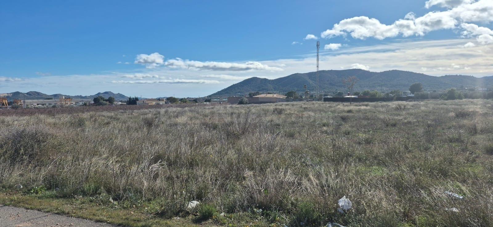 TERRENO EN LA ROMANA DE 12.461M2- IDEAL PARA CHALETS