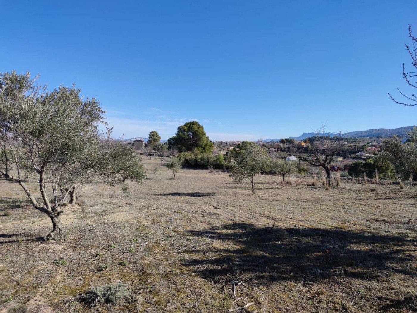 PARCELA RÚSTICA EN VENTA - ONTINYENT