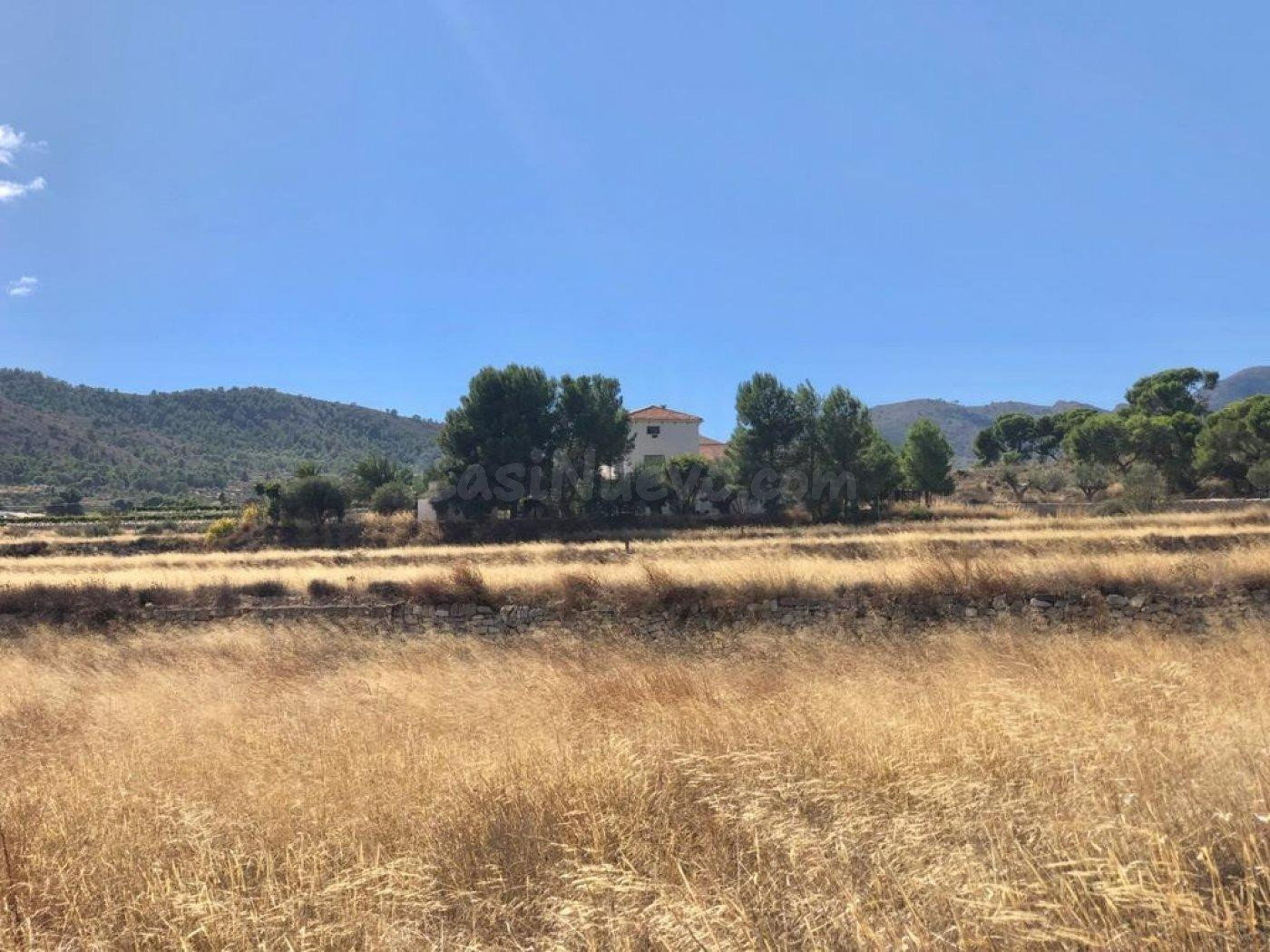Parcela en La Romana - foto 3
