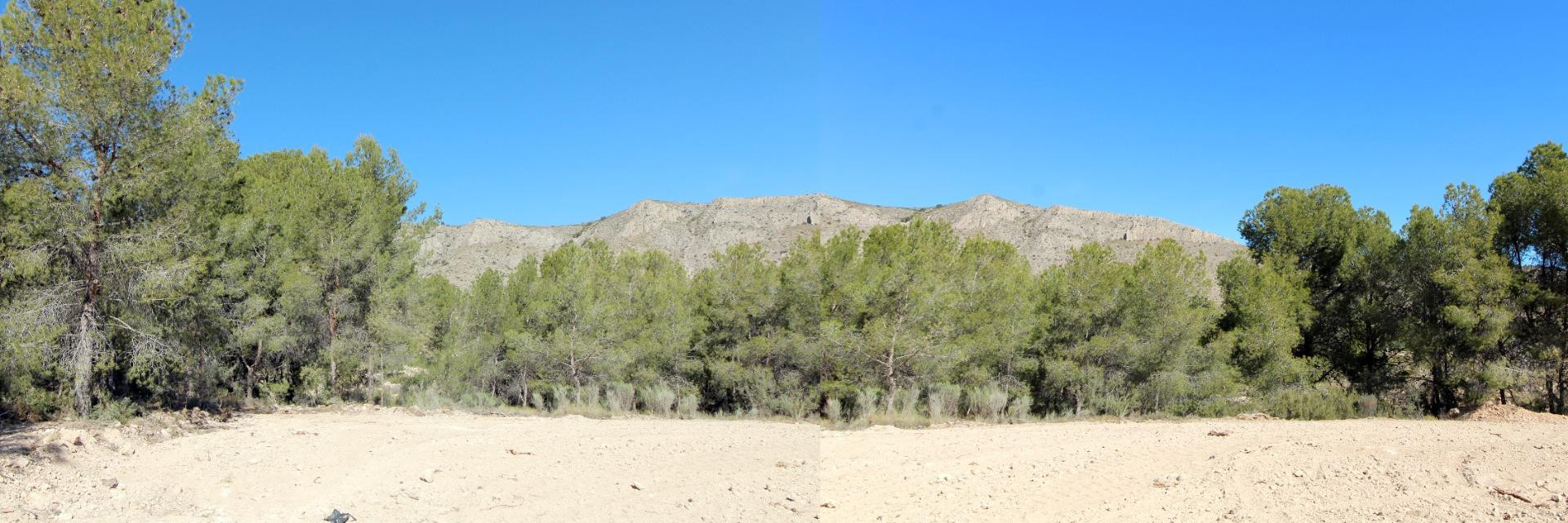 TERRENO EN HONDON DE LAS NIEVES