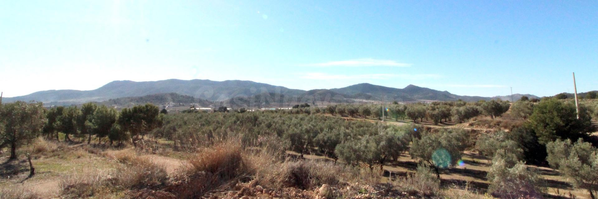 TERRENO EN HONDON DE LAS NIEVES