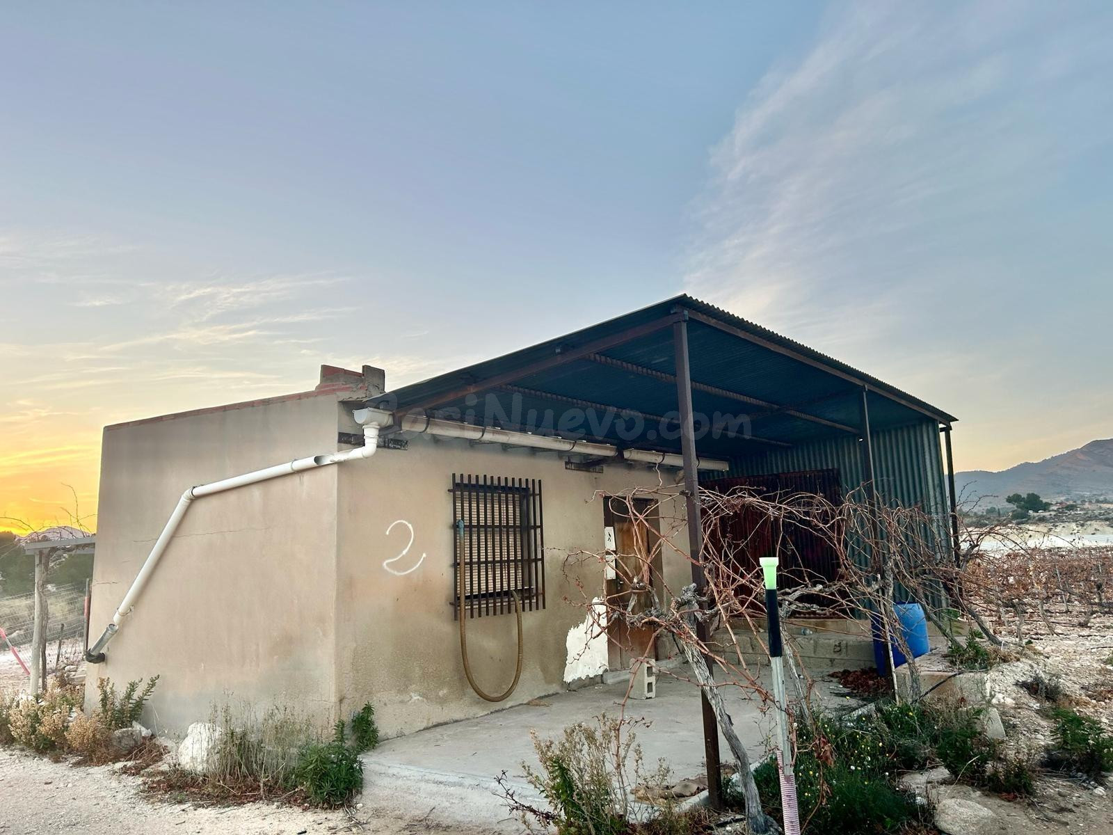 Finca rustica en Novelda - foto 4