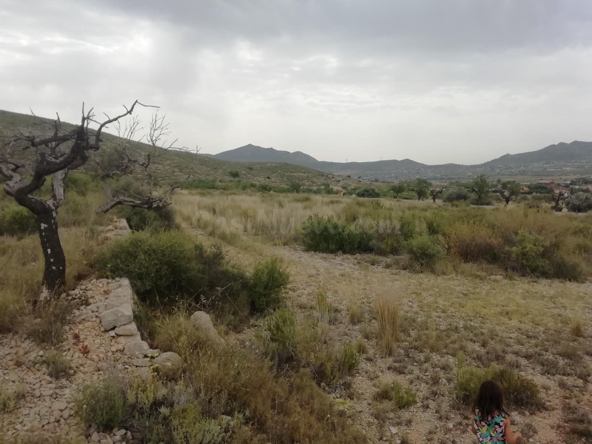 Terreno en Hondón de los Frailes