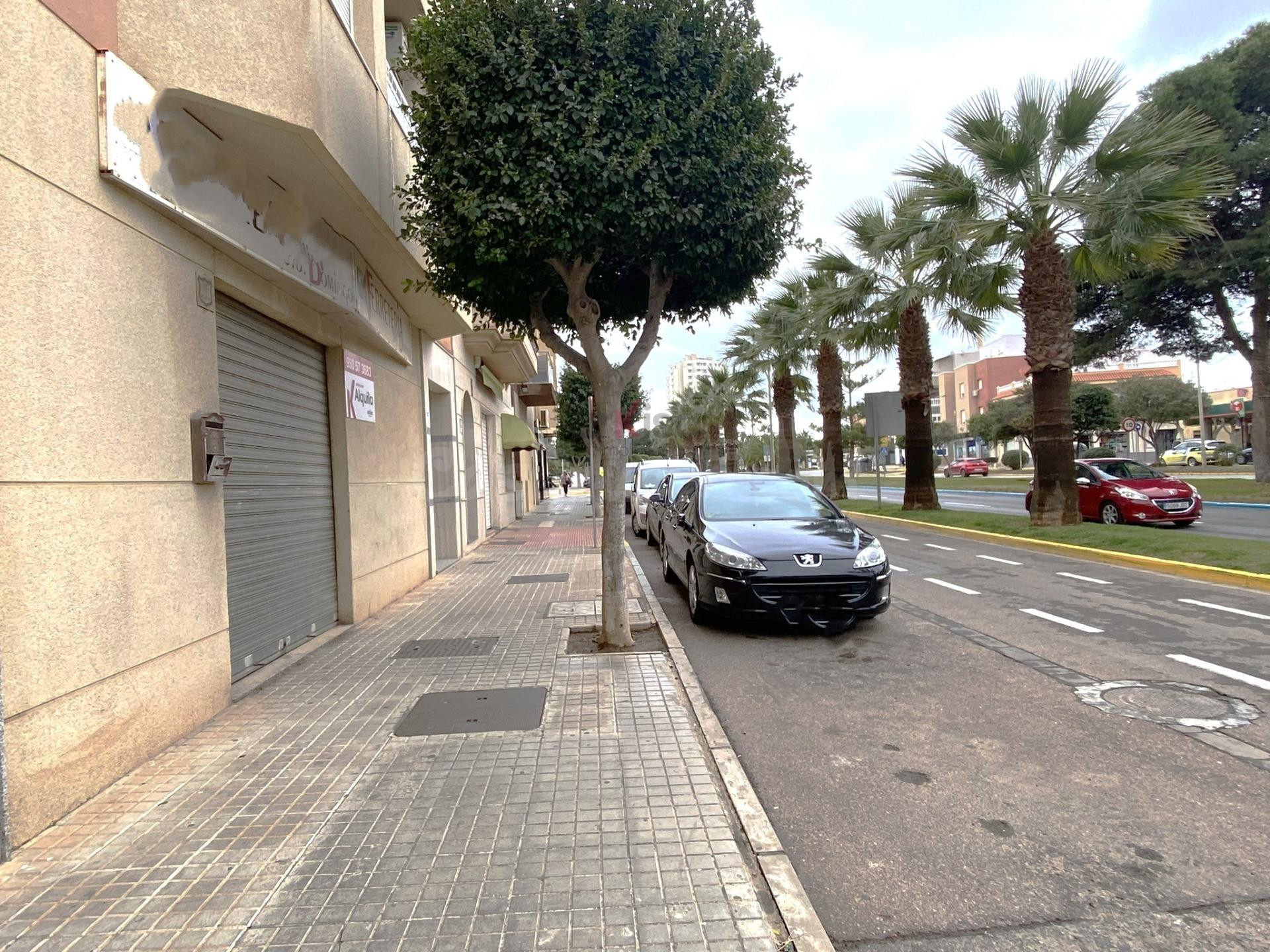 LOCAL COMERCIAL EN ALQUILER EN EL EJIDO - ZONA DE SANTO DOMINGO