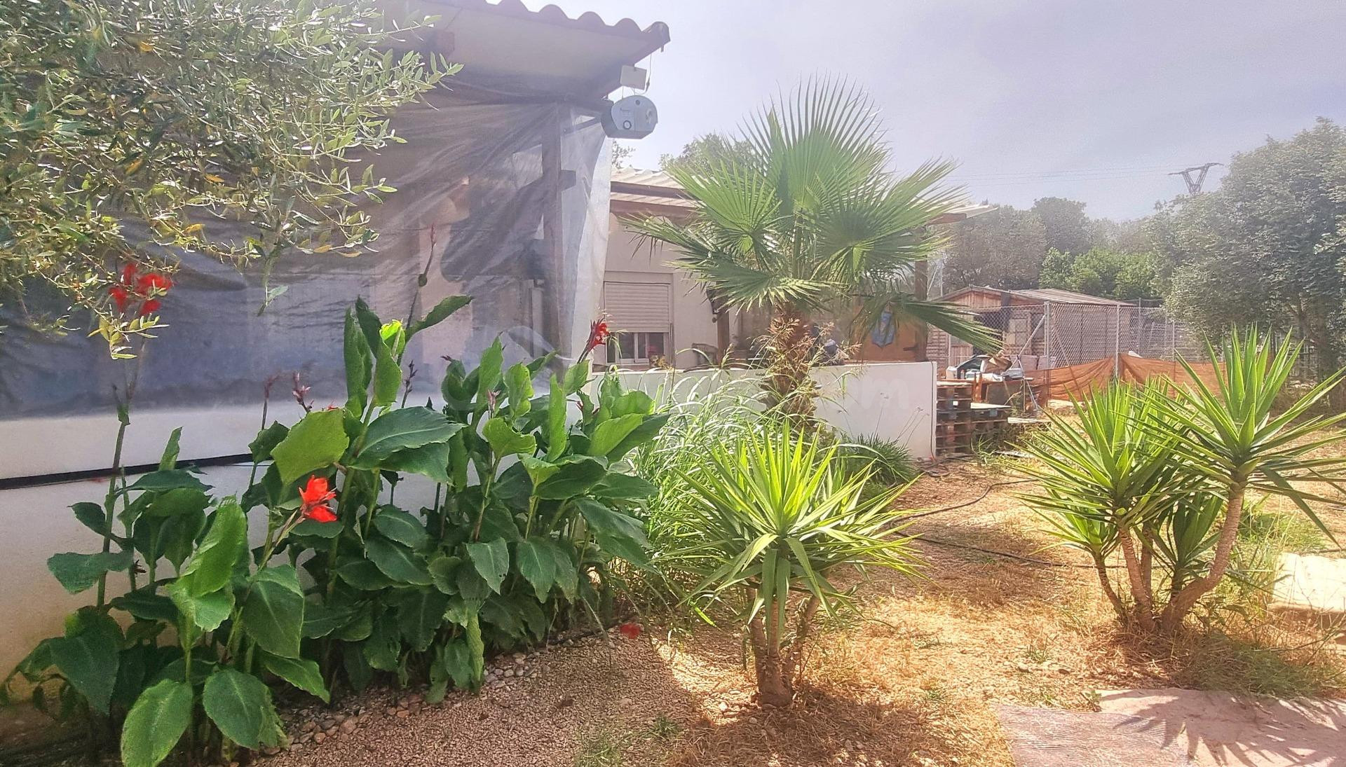 Finca con casa de campo en Vinaròs