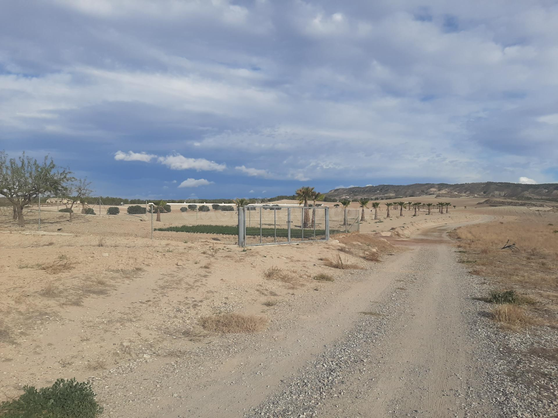 Parcela para construcción de viviendas en Las Canales - foto 3