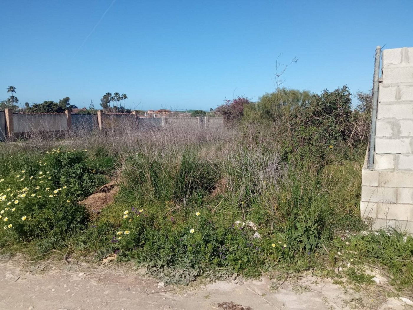 OCASIÓN PARCELA ZONA SIETE PILAS