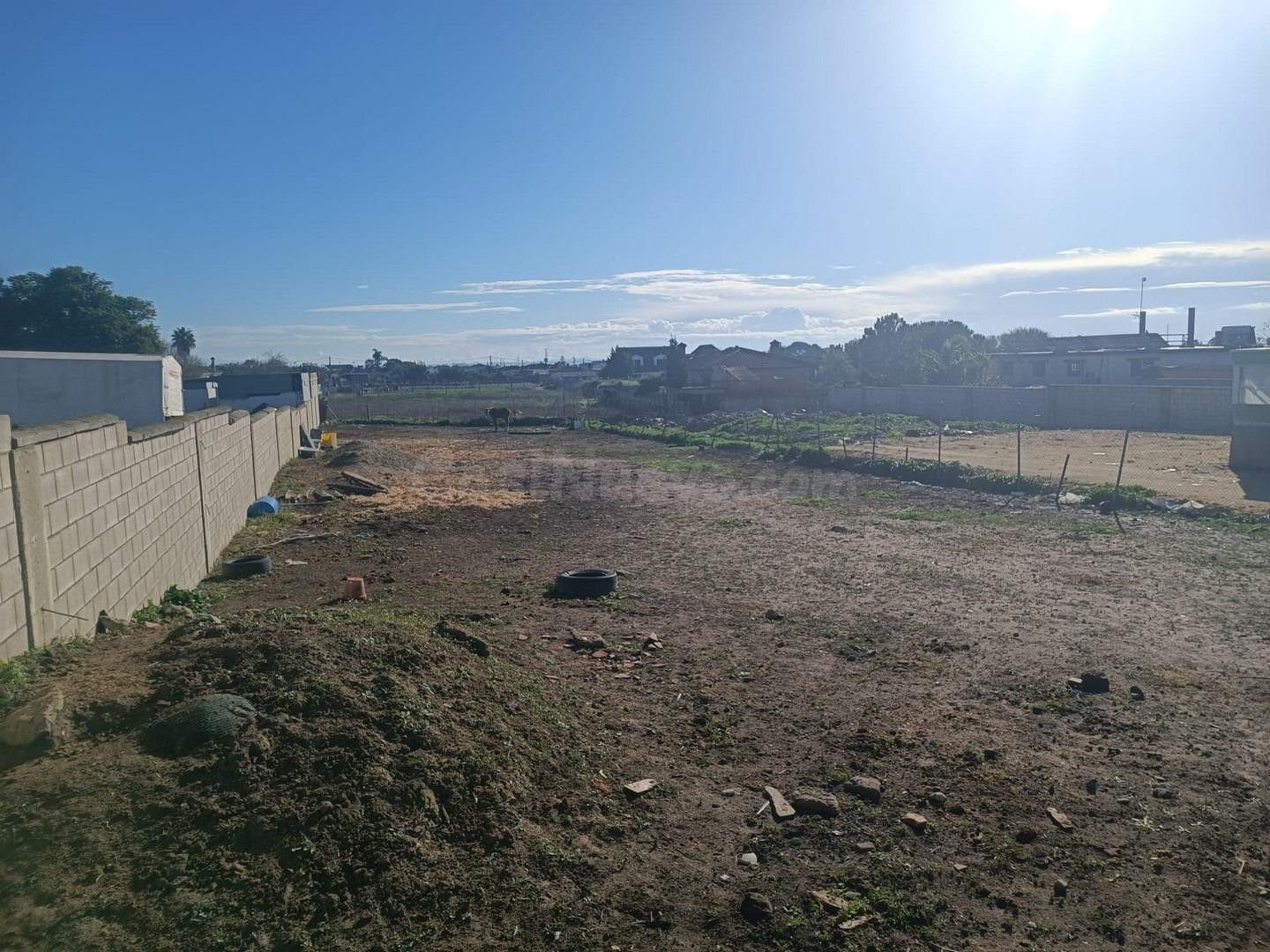 Parcela en zona Pago Serrano