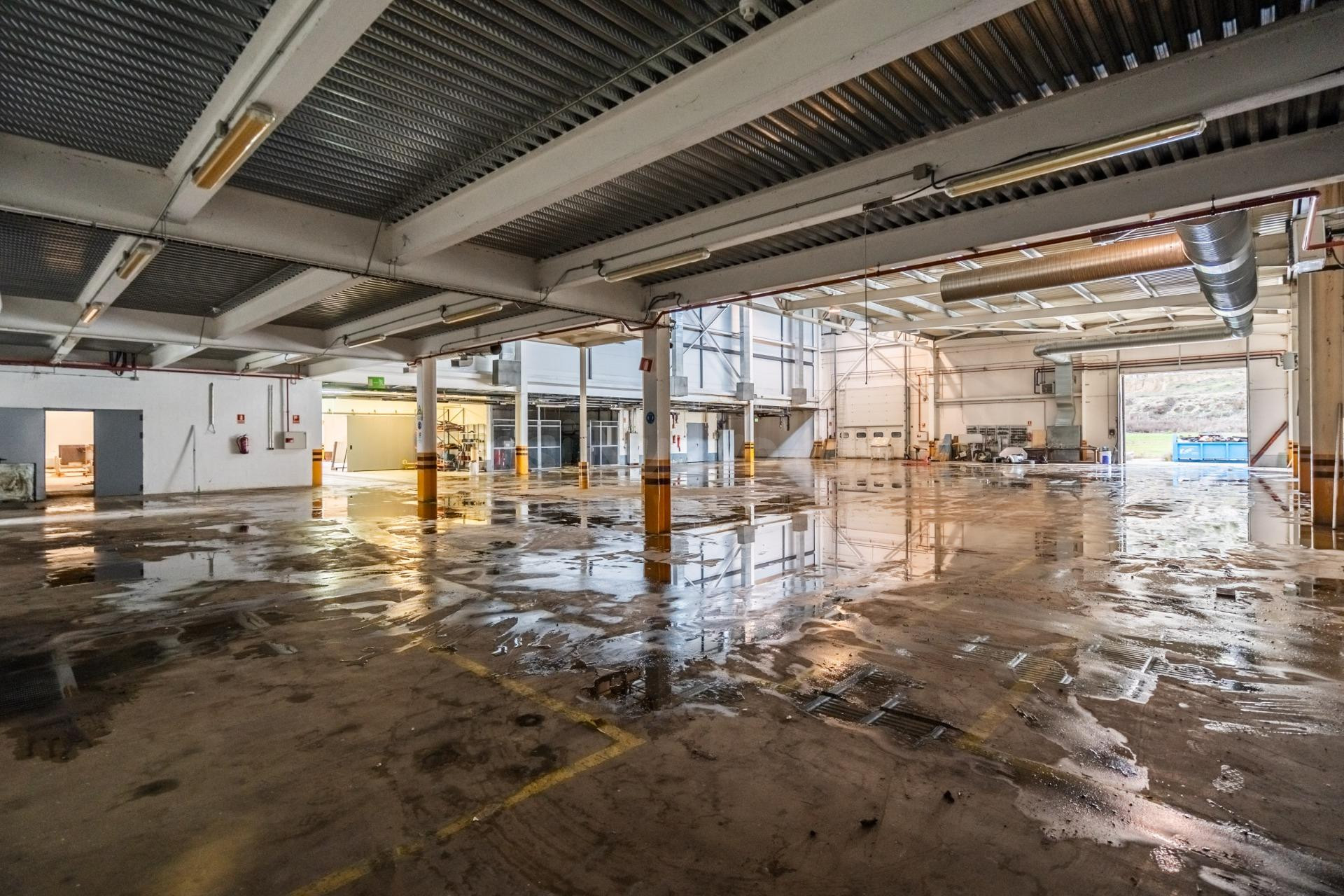 ^**^NAVE INDUSTRIAL CON PARCELA DE 30.000M2 A 45 MINUTOS DE  - foto 5