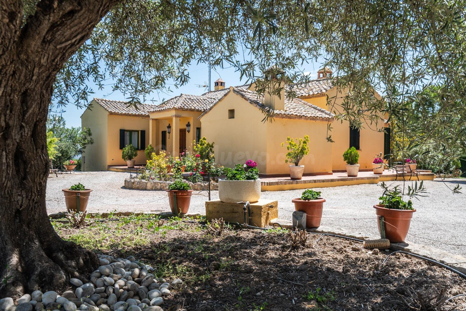 ^^ EN VENTA EXCLUSIVA – IMPRESIONANTE FINCA DE 4 HECTÁREAS E
