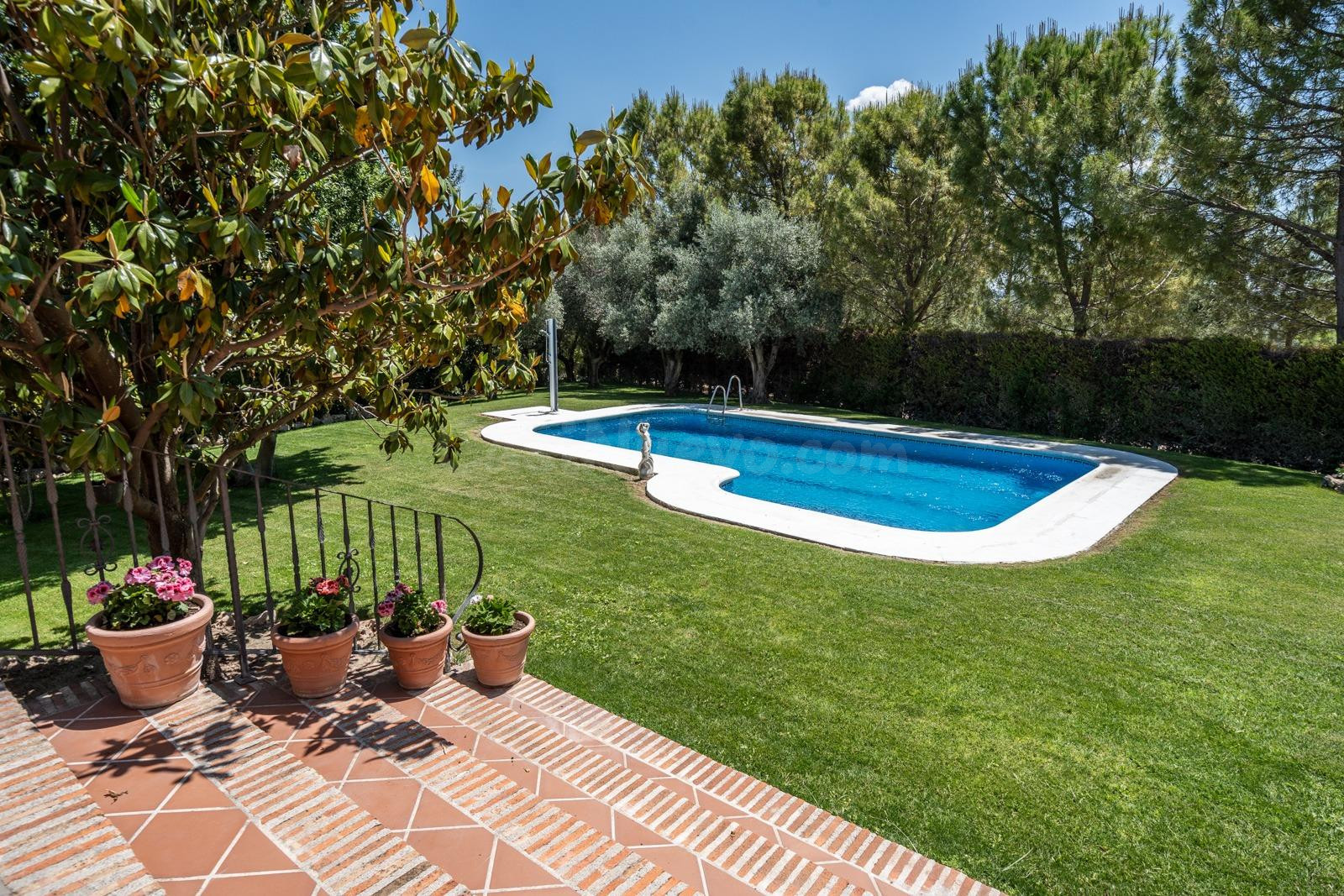 ^^ EN VENTA EXCLUSIVA – IMPRESIONANTE FINCA DE 4 HECTÁREAS E - foto 3