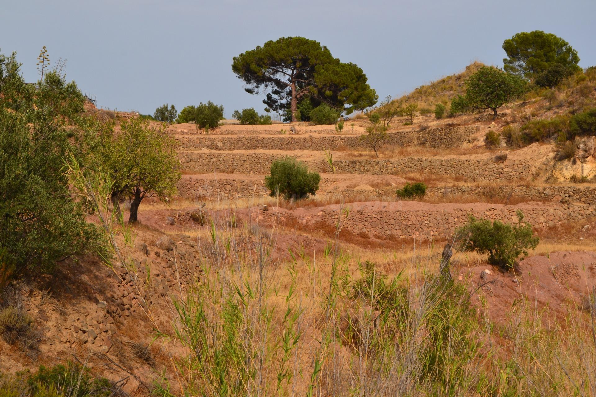 ^^FINCA RÚSTICA DE MÁS DE 2.500.000 M2 CON POSIBILIDAD DE RE - foto 5