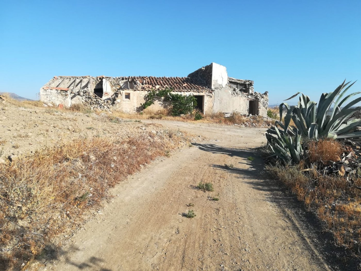 CASA DE CAMPO PARA REFORMAR EN FINCA DE 69.000M2 EN LA ZONA DE HENARES