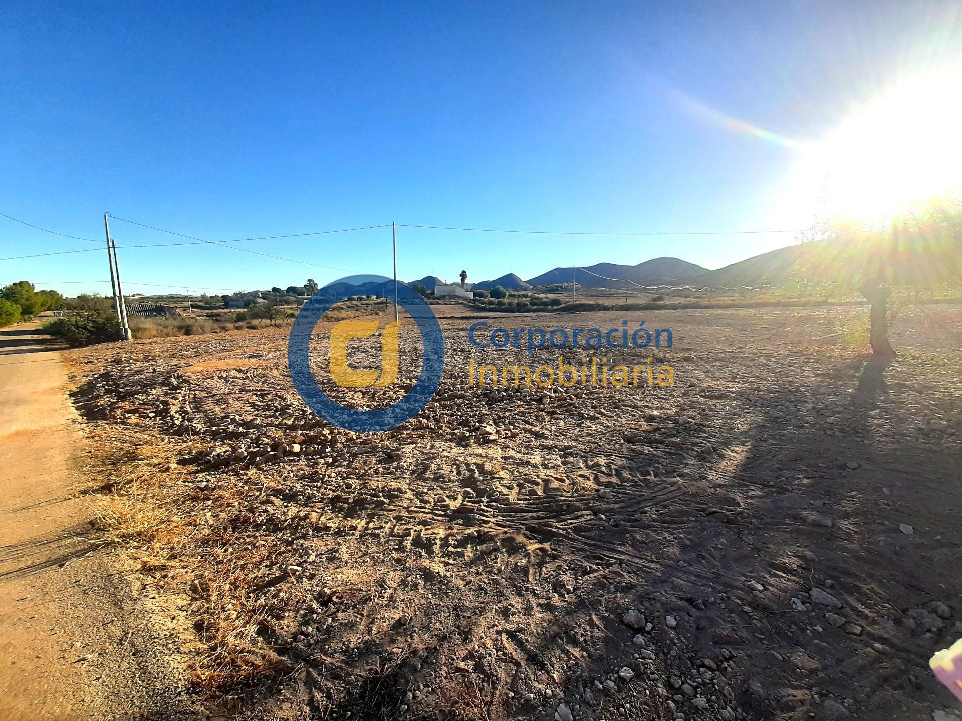 Parcela con proyecto y licencia de obra en Purias